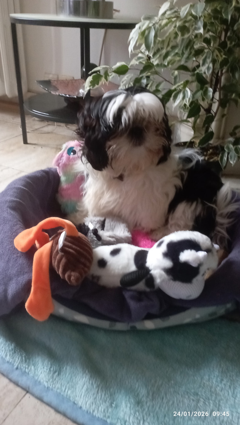 Akiko de la vallée aux mille fleurs